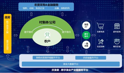 漁博士沈杰 打破物聯網技術與應用之墻，解碼數字新浙商no.69